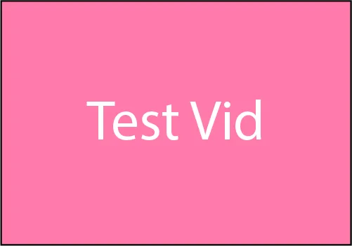 VHolder test-vid